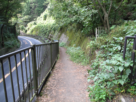 20171005hike (260)